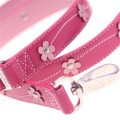 Lucy Pink Leash close up shot