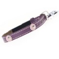 Moet Purple Cat Collar