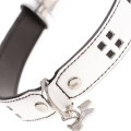 Tommy White Dog Collar