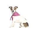 Bobby Vichy Cotton Dog Bandana