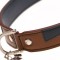 Aflie Tan Dog Collar