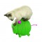 Bobby Miss Pig Sisal Piglet Sound Cat Toy in Green