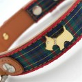 Highland Bling Blue Dog Collar