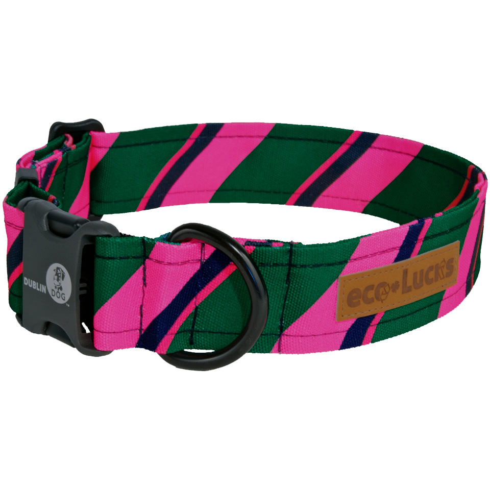 Dublin Dog Ivy League Socialite Eco Lucks Dog Collar Dogorama