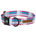 Dublin Dog Hamptons Cosmo Eco Lucks Dog Collar