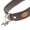 Chester Brown Dog Collar