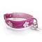 Lucy Pink Dog Collar
