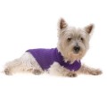 Hamish McBeth Cable Knit Dog Jumper in Purple