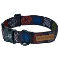 Dublin Dog Winter Wonders Urban Ice Eco Lucks Dog Collar