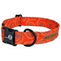 Dublin Dog Gravity Monsoon Sun Eco Lucks Dog Collar