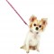 Bobby British Collection Nylon Dog Lead in Pink