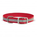 Dublin Dog Koa Waterproof Dog Collar Reflective Reflex Red