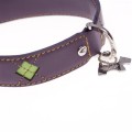 Mackie Purple Dog Collar