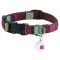 Bobby Talisman Collection Nylon Dog Collars in Brown