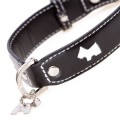 Hamish Black Dog Collar