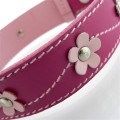 Lucy Pink Dog Collar