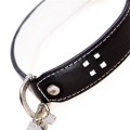 Tommy White Dog Collar