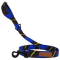 Dublin Dog Ivy League Hackysack Eco Lucks Dog Lead