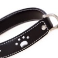 Paws Black Dog Collar