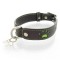 Paws Brown Dog Collar