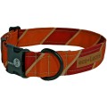 Dublin Dog Ivy League Varsity Eco Lucks Dog Collar