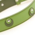 Moet Lime Dog Collar