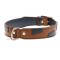 Aflie Tan Dog Collar