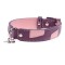 Alfie Purple Dog Collar