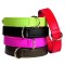 Bobby Escapade Leather Dog Collar Collection