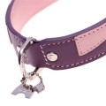 Alfie Purple Dog Collar