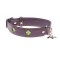 Mackie Purple Dog Collar