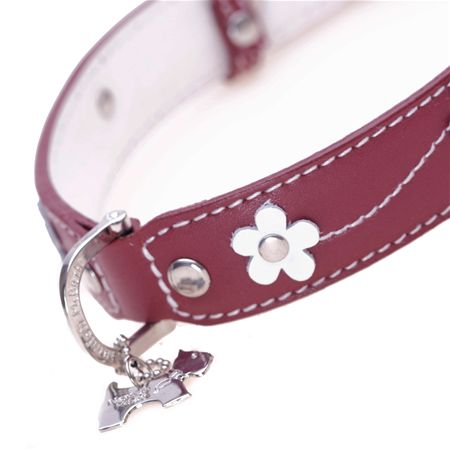 Hamish mcbeth shop dog collar