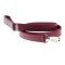 Mackie Red Matching Leash