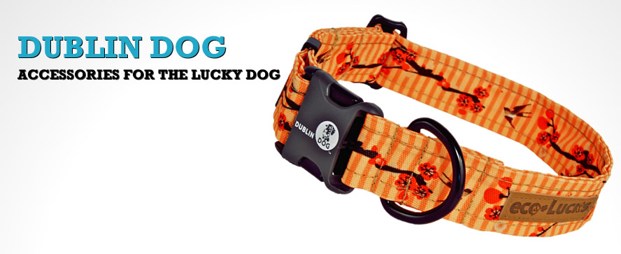 Dublin Dog Accessories for the lucky dog